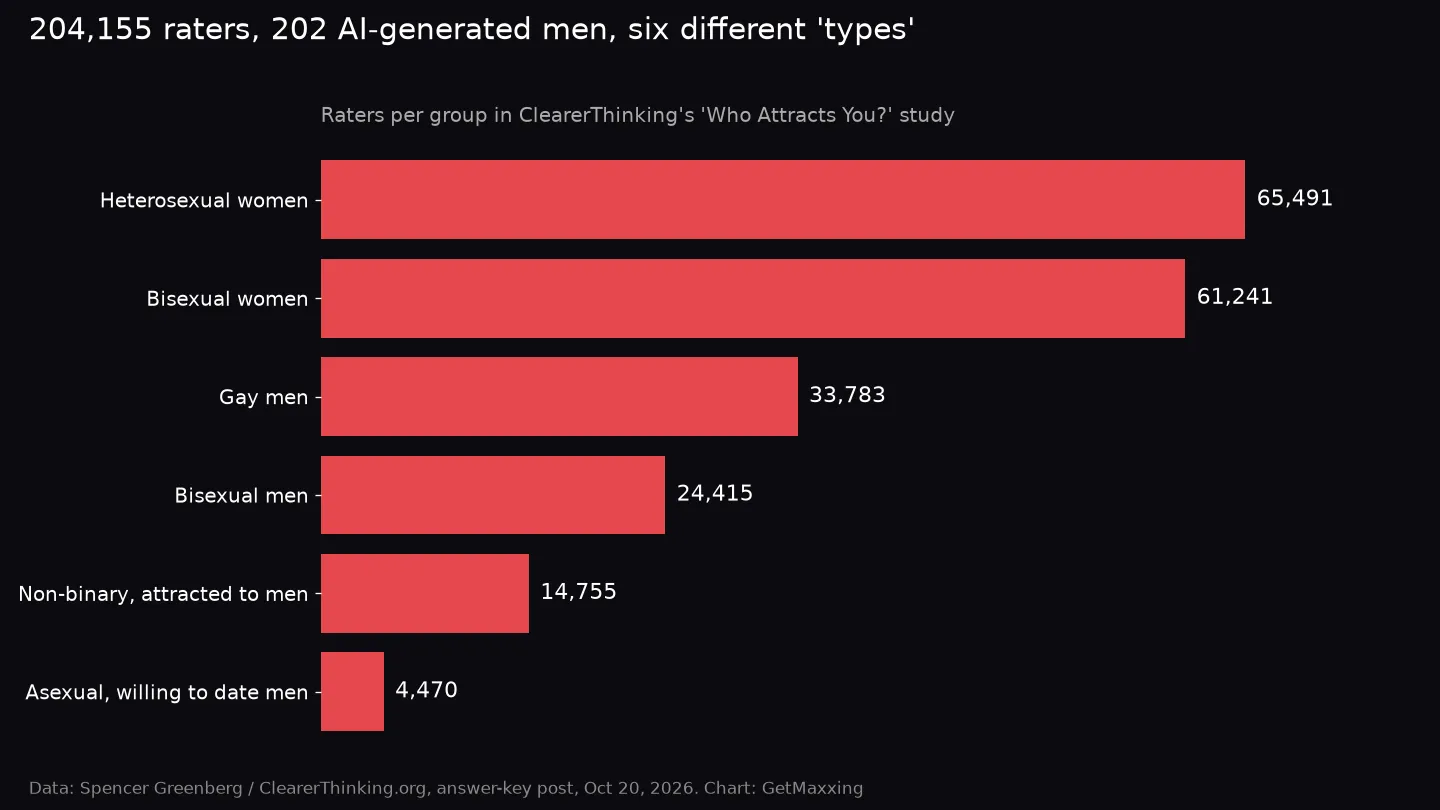 Horizontal bar chart of raters per group in ClearerThinking's attraction study: heterosexual women 65,491, bisexual women 61,241, gay men 33,783, bisexual men 24,415, non-binary people attracted to men 14,755, asexual people willing to date men 4,470; total 204,155
